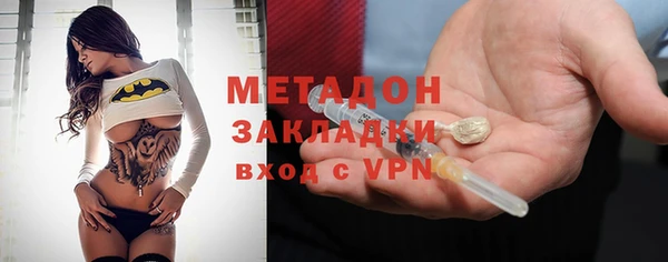 сатива Бородино