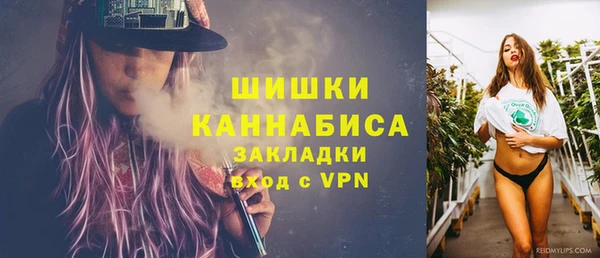 гашиш Богданович