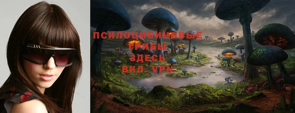 гашиш Богданович